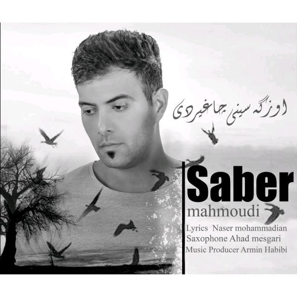 Saber Mahmoudi - Ozgasini Chaghirdi
