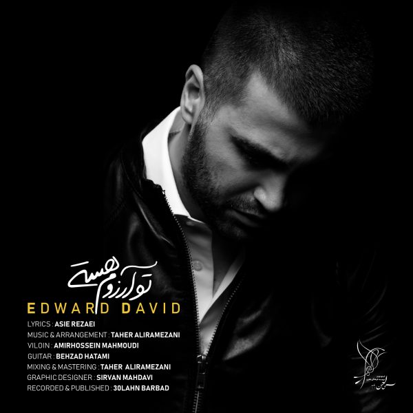 Edward David - 'To Arezoom Hasti'