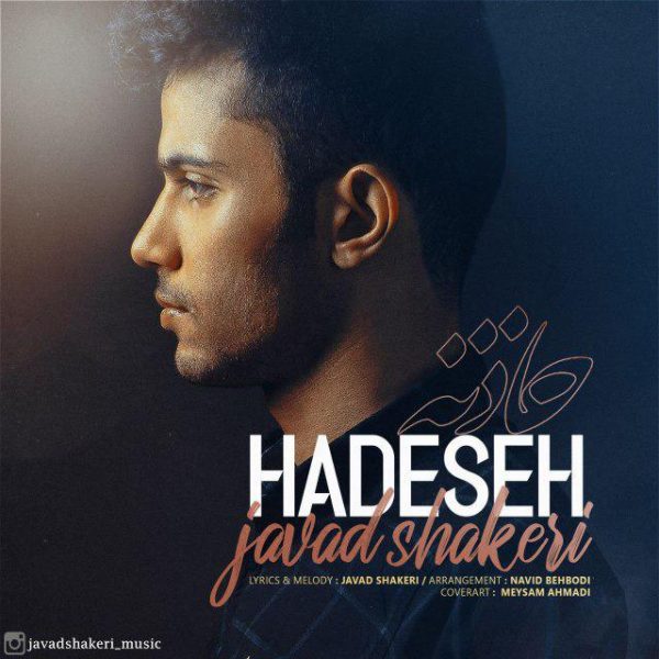 Javad Shakeri - 'Hadeseh'