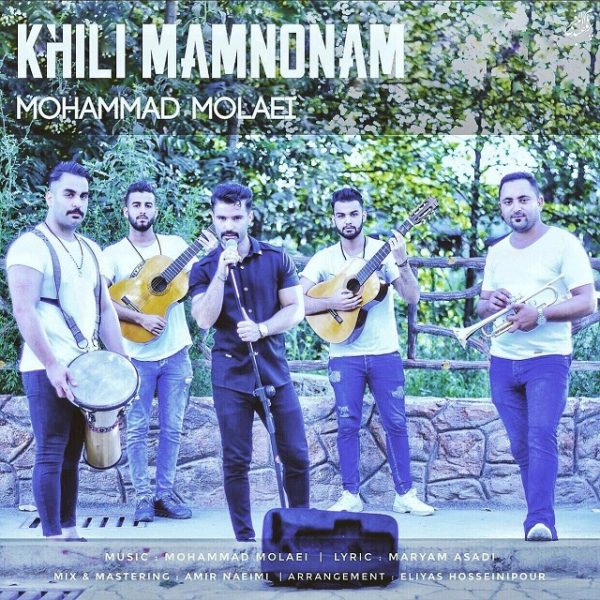 Mohammad Molaei - 'Kheili Mamnoonam'