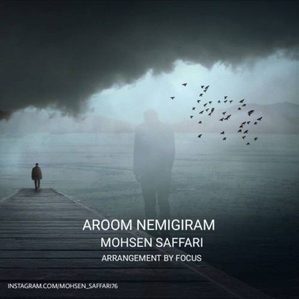 Mohsen Saffari - 'Aroom Nemigiram'