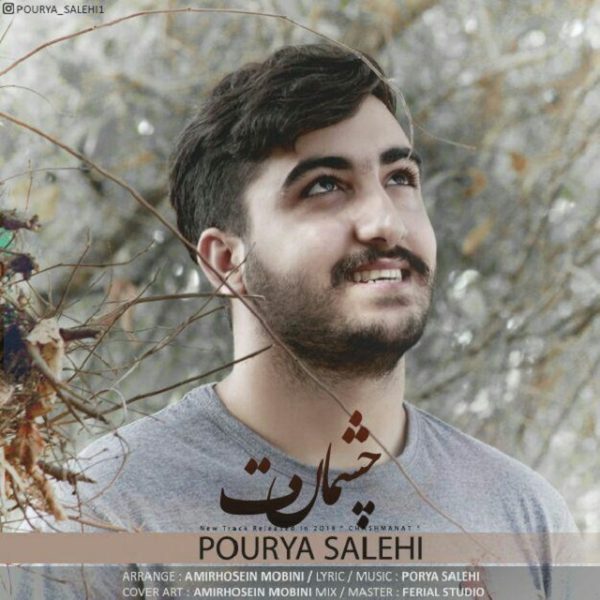 Pourya Salehi - 'Cheshmanat'