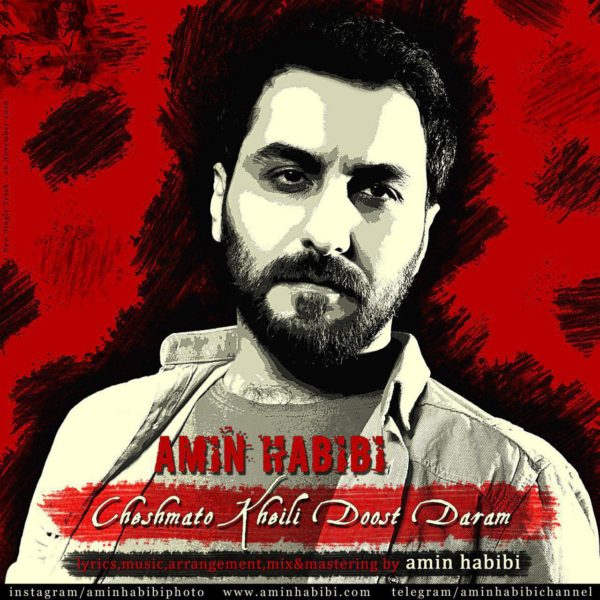 Amin Habibi - 'Cheshmato Kheili Doost Daram'