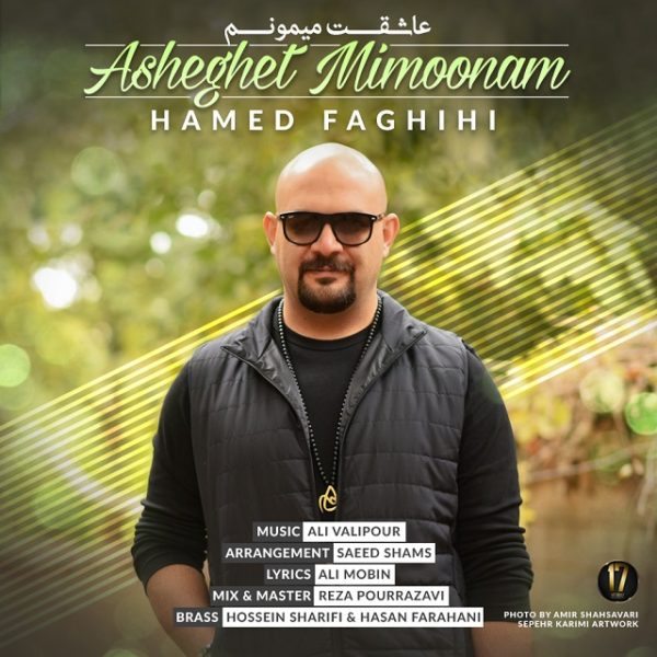 Hamed Faghihi - 'Asheghet Mimoonam'