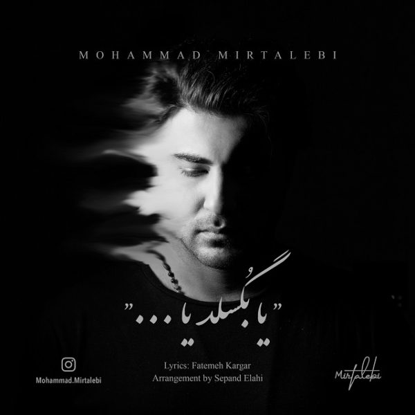 Mohammad Mirtalebi - 'Ya Bogsalad Ya'