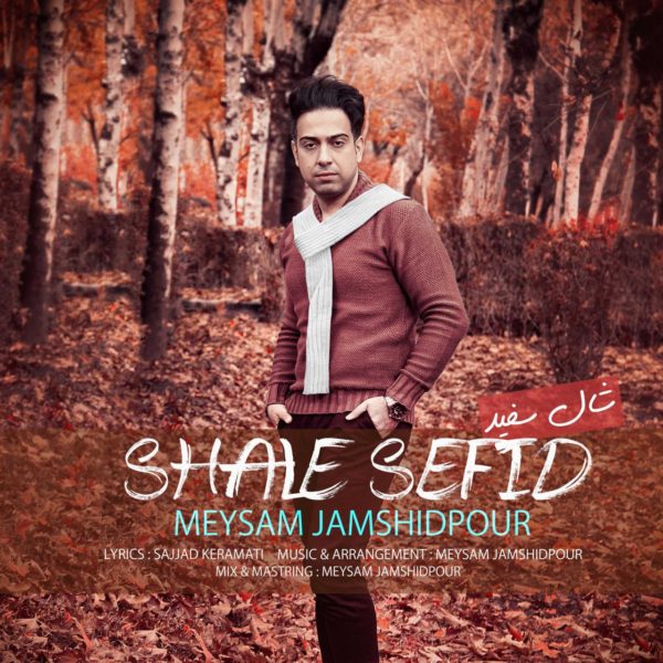 Meysam Jamshidpour - 'Shale Sefid'