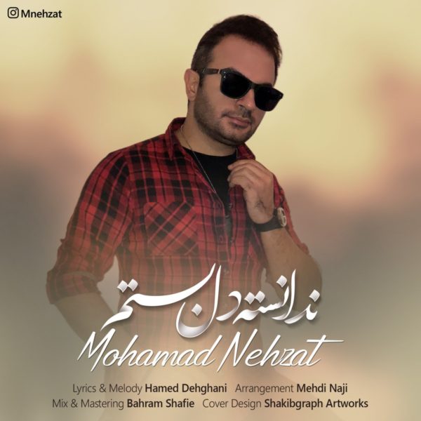 Mohamad Nehzat - 'Nadaneste Del Bastam'