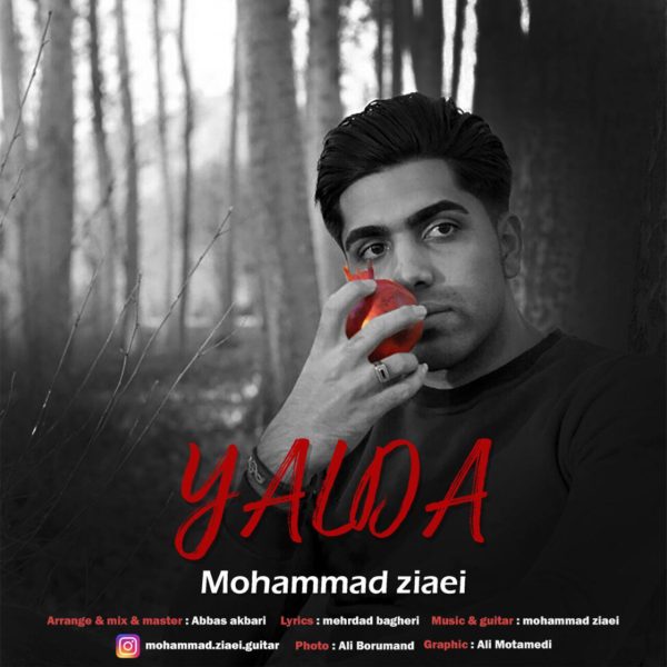 Mohammad Ziaei - 'Yalda'
