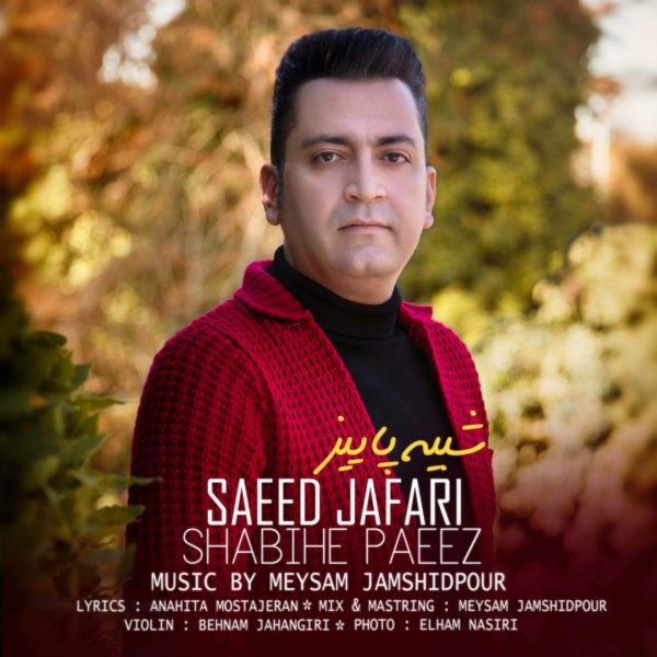 Saeed Jafari - 'Shabihe Paeez'