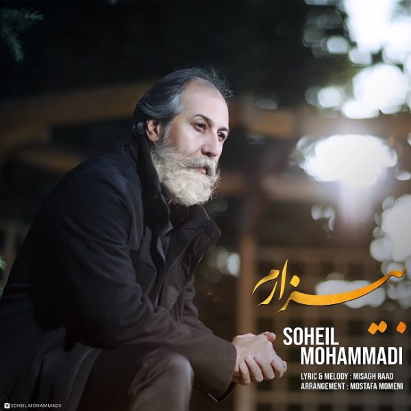 Soheil Mohammadi - 'Bizaram'