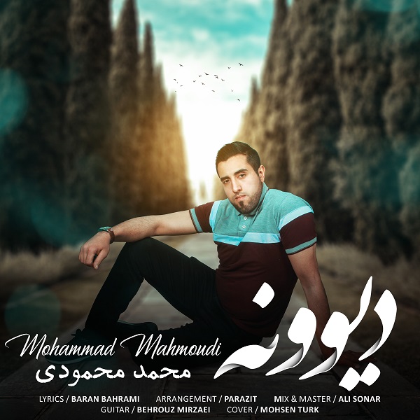 Mohamad Mahmoudi - 'Divone'