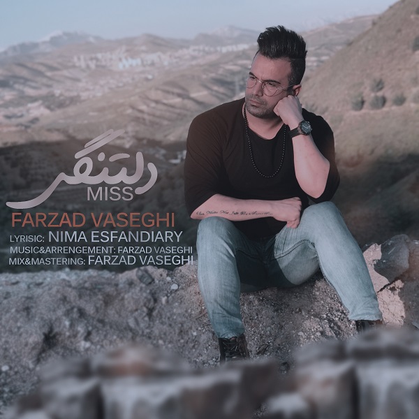 Farzad Vaseghi - 'Deltangi'