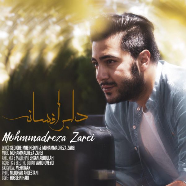 Mohammadreza Zarei - 'Delbare Afsaneh'
