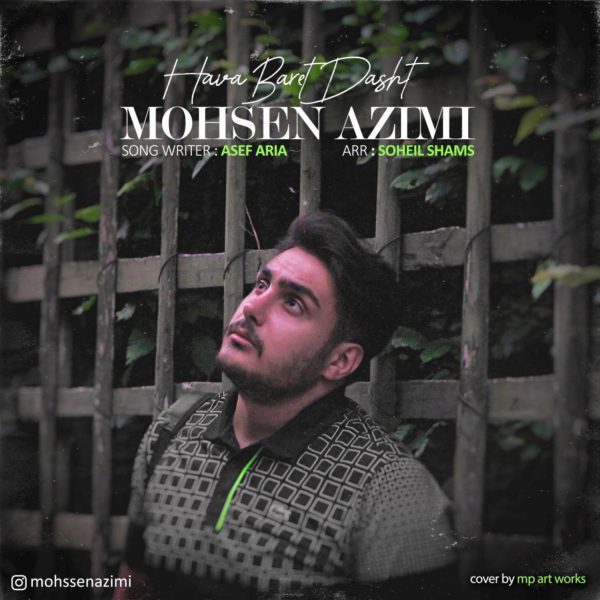 Mohsen Azimi - 'Hava Baret Dasht'