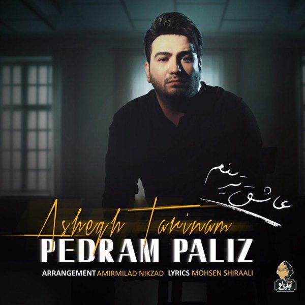 Pedram Paliz - 'Ashegh Tarinam'