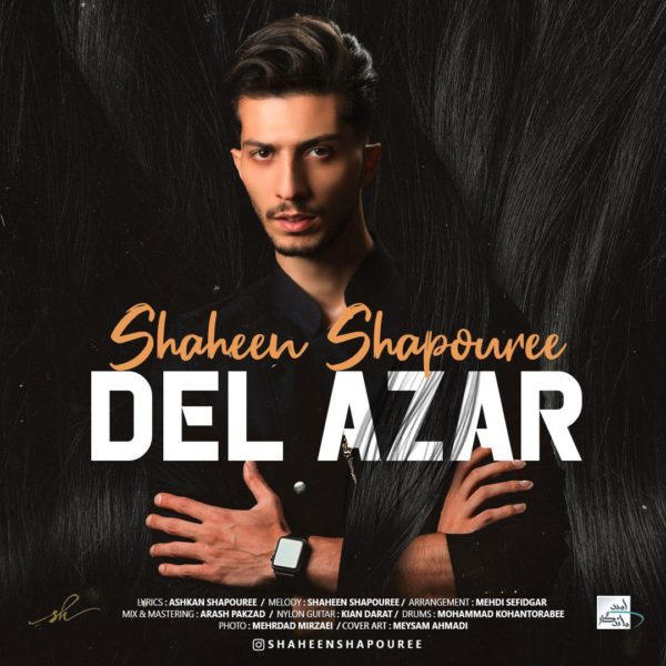 Shaheen Shapouree - 'Del Azar'