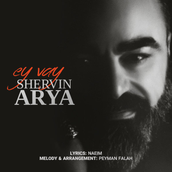 Shervin Arya - 'Ey Vay'