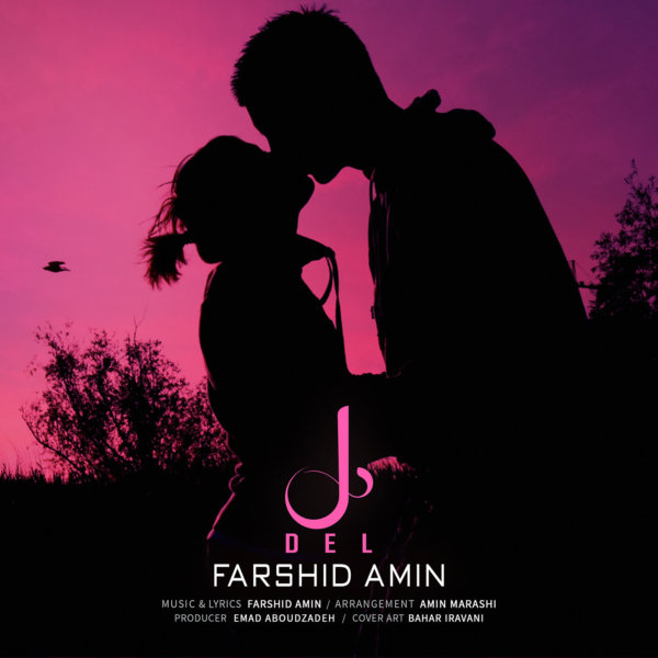 Farshid Amin - 'Del'