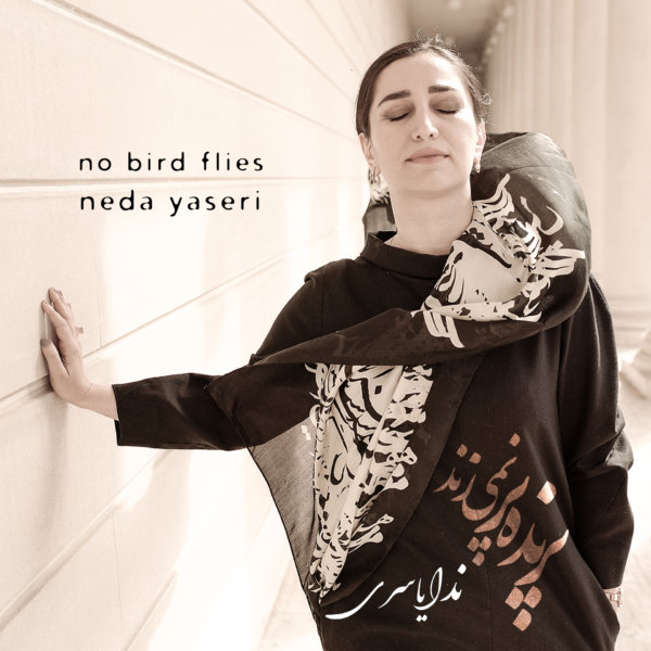 Neda Yaseri - 'No Bird Flies'