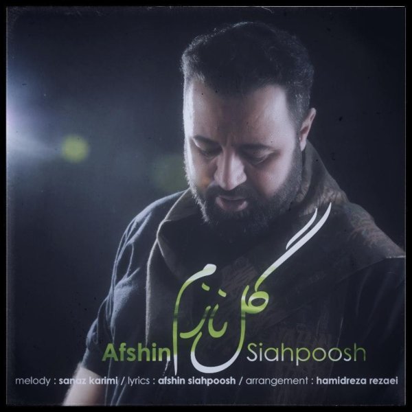 Afshin Siyahpoosh - 'Gole Nazam'