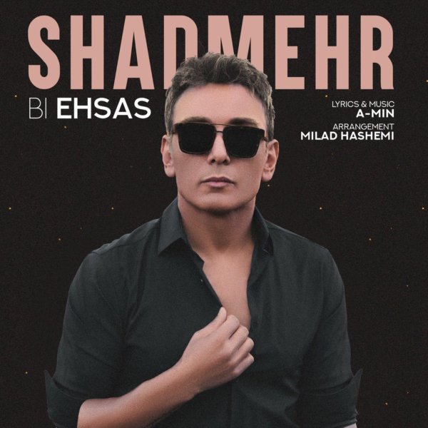 Shadmehr Aghili - 'Bi Ehsas'