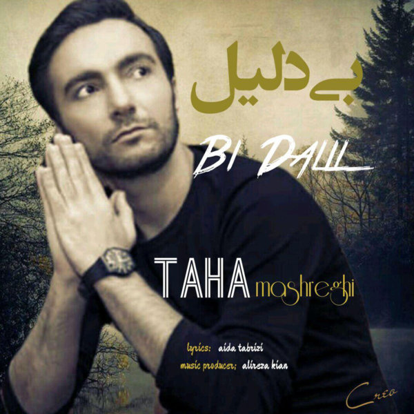 Taha Mashreghi - Bi Dalil