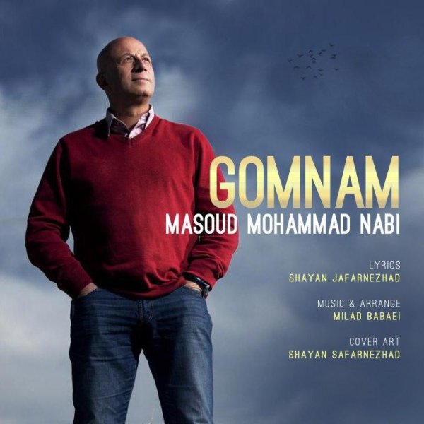 Masoud Mohammad Nabi - 'Gomnam'