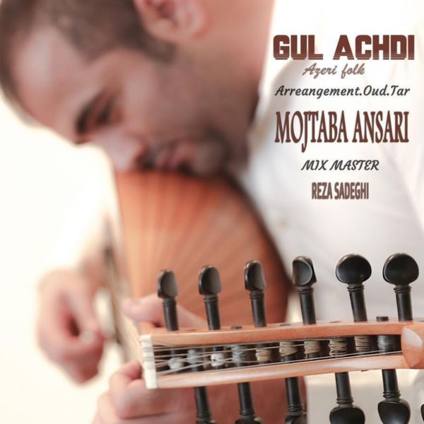 Mojtaba Ansari - 'Gul Achdi'