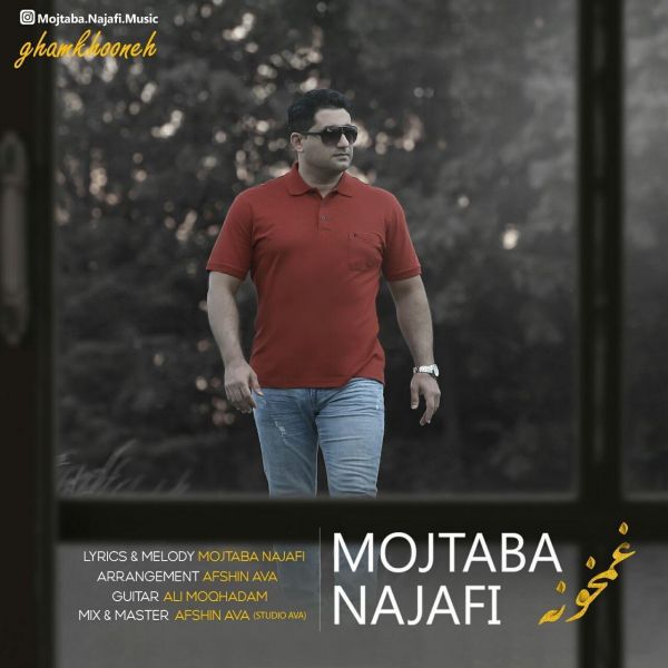 Mojtaba Najafi - 'Ghamkhooneh'