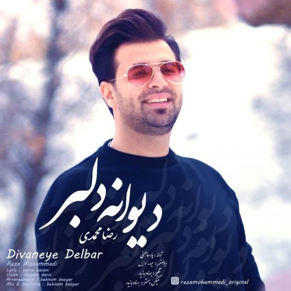 Reza Mohammadi - 'Divaneye Delbar'