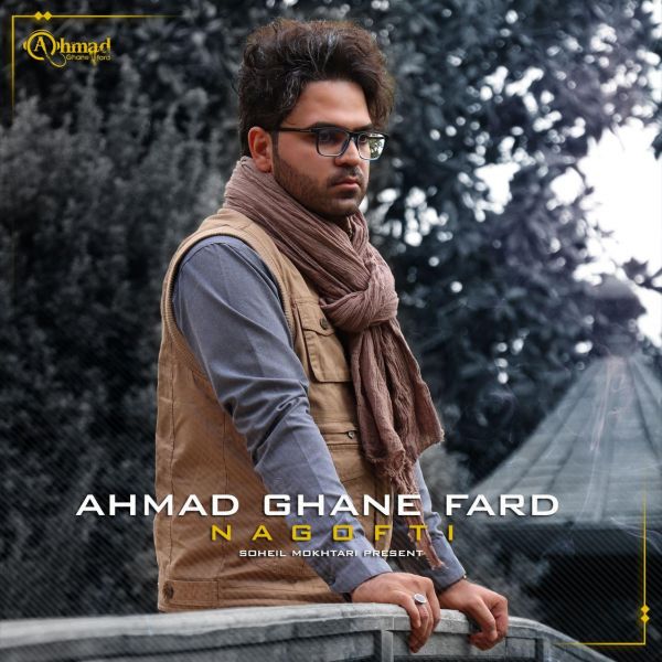 Ahmad Ghanefard - 'Nagofti'