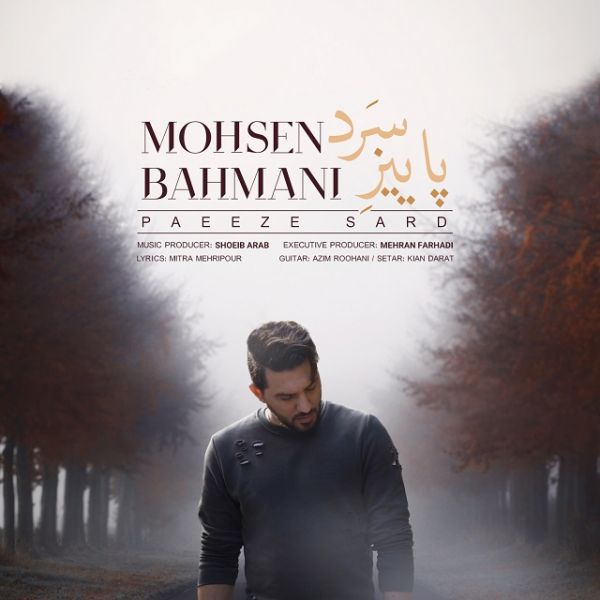 Mohsen Bahmani - 'Paeeze Sard'