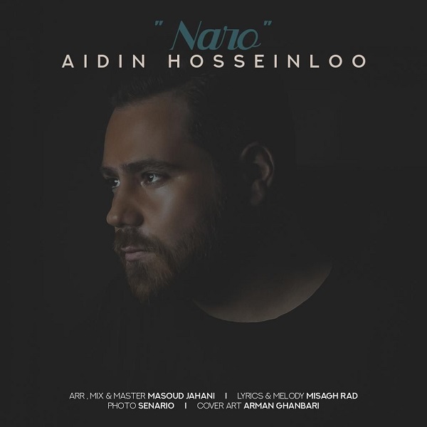 Aidin Hosseinloo - 'Naro'