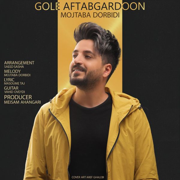 Mojtaba Dorbidi - 'Gole Aftabgardoon'