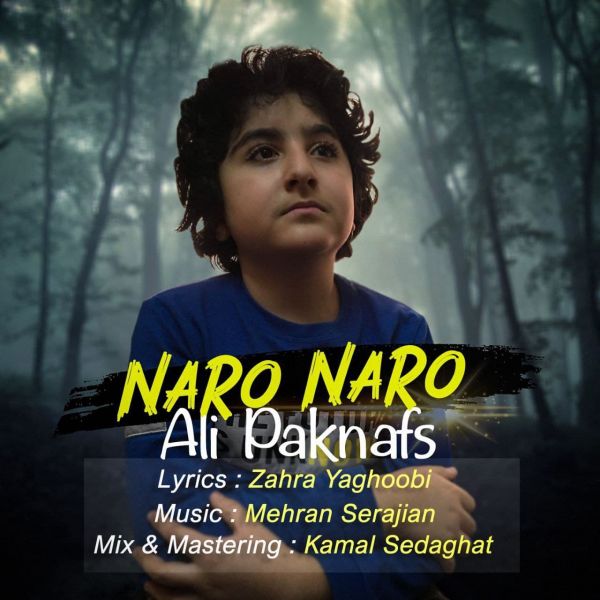 Ali Paknafs - Naro Naro