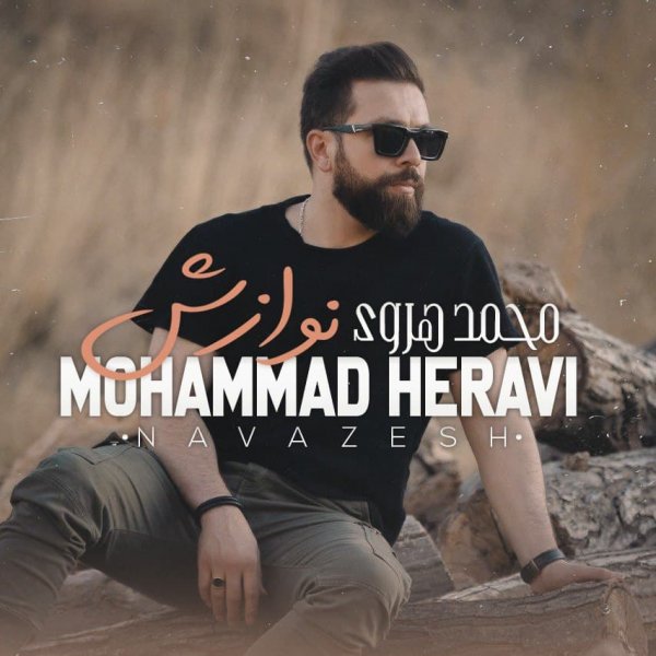 Mohammad Heravi - 'Navazesh'