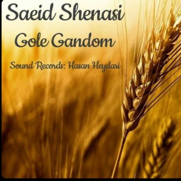 Saeid Shenasi - 'Gole Gandom'