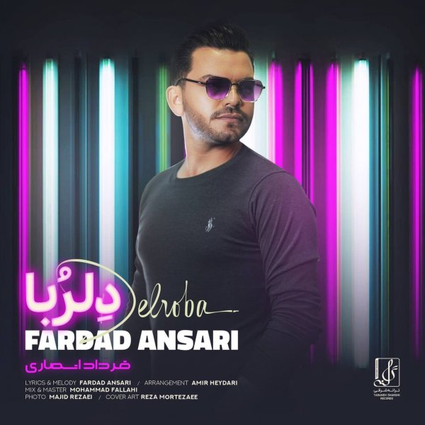 Fardad Ansari - Delroba