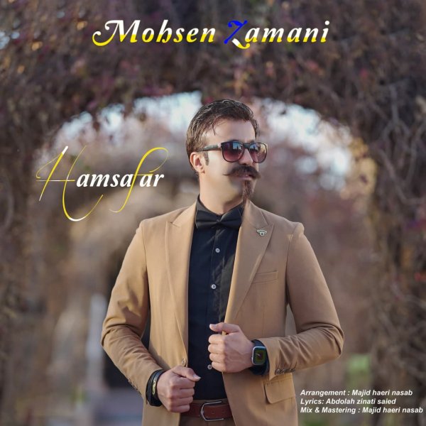 Mohsen Zamani - 'Hamsafar'