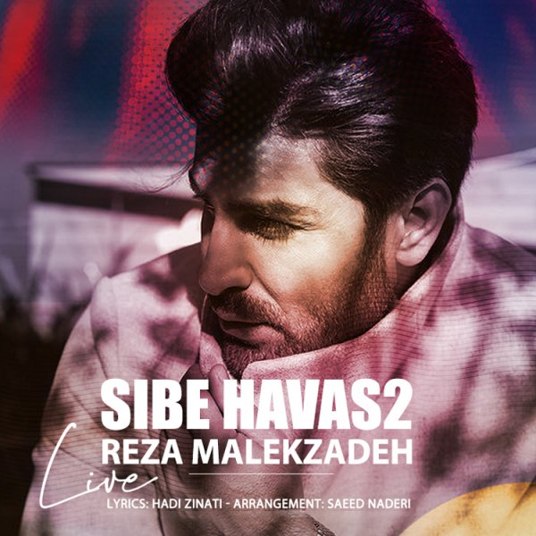 Reza Malekzadeh - 'Sibe Havas 2'