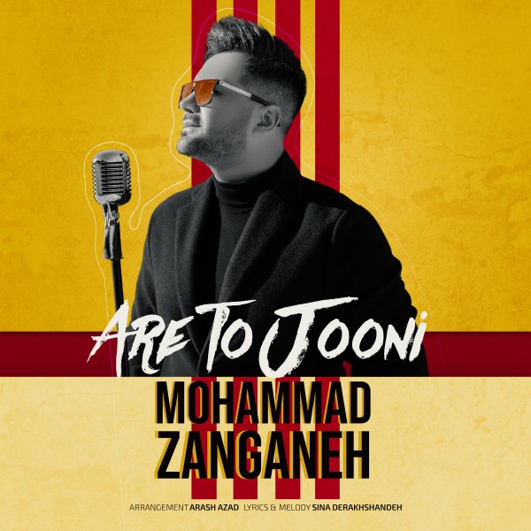 Mohammad Zanganeh - 'Are To Jooni'