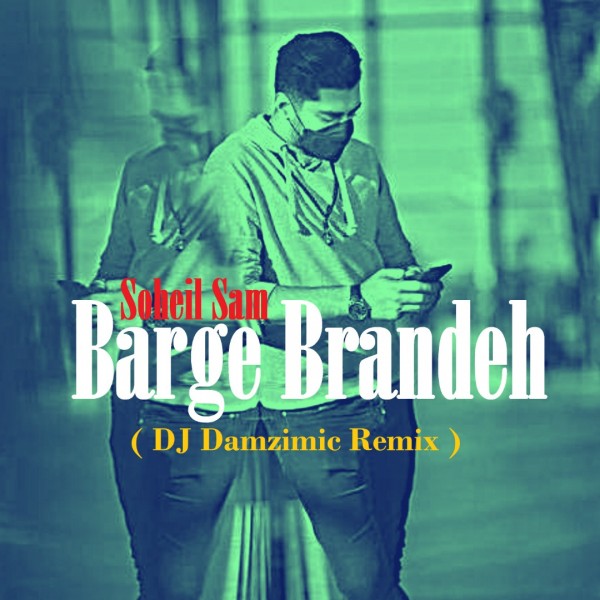 DJ Damzimic - 'Barge Barandeh (Remix)'
