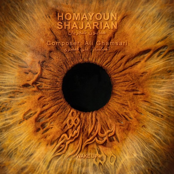Homayoun Shajarian - 'Bidar Sho'