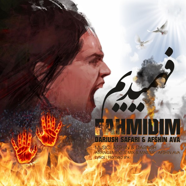 Dariush Safari & Afshin Ava - 'Fahmidim'