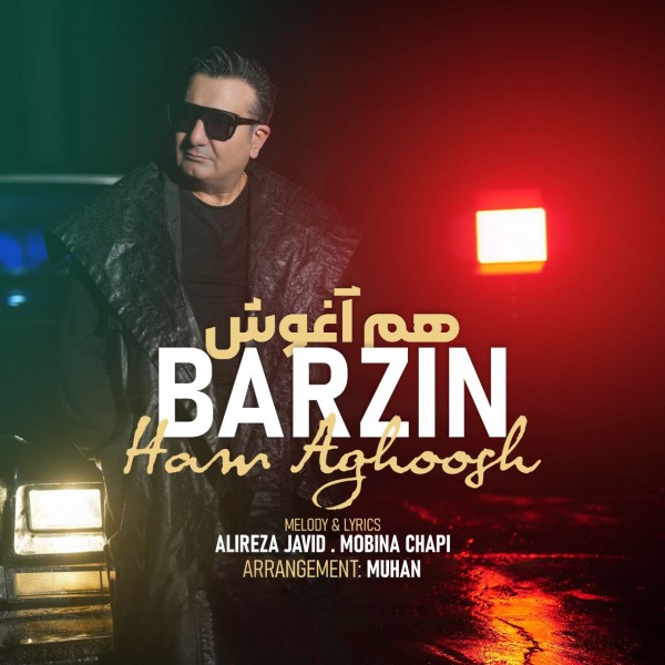 Barzin - Ham Aghoosh