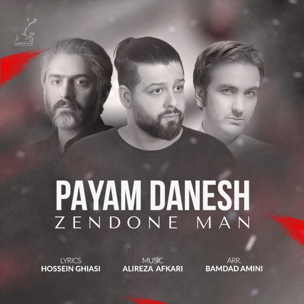 Payam Danesh - Zendone Man