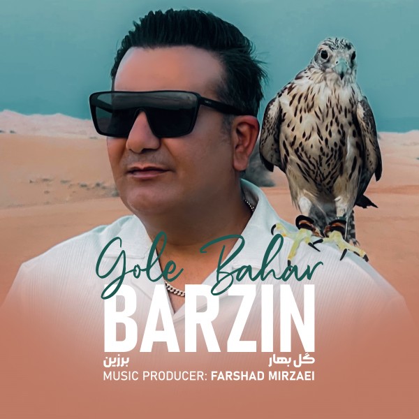 Barzin - Gole Bahar