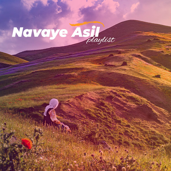 Navaye Asil