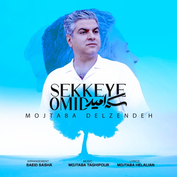 Mojtaba Delzendeh - Sekeye Omid