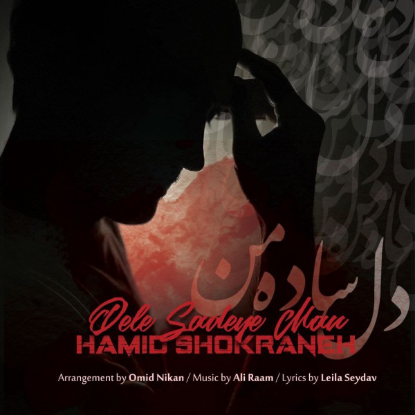 Hamid Shokraneh - Dele Sadeye Man